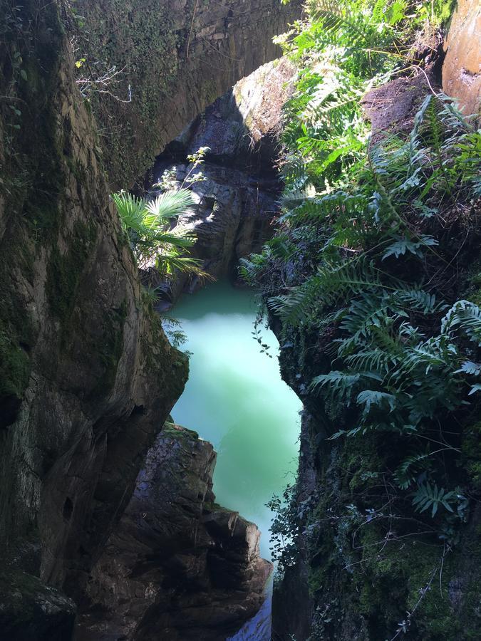 Riflessi di Lago Dorio Esterno foto